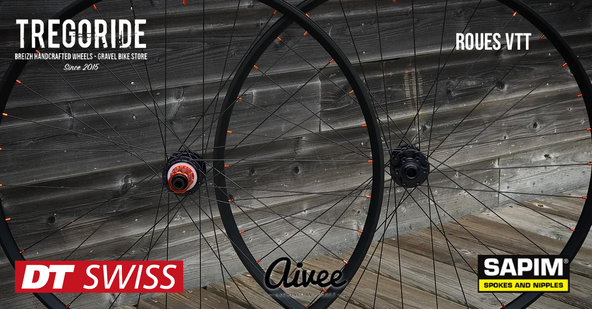 Roues VTT DTSWISS XR391 AIVEE CLASSIC TREGORIDE