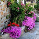 CAMPING DE ROZ AR MOR