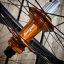 DTSWISS FR541 | HOPE PRO5