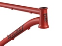 Cadre Ritchey P-29er