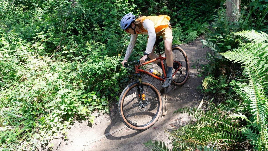 Cadre Ritchey P-29er