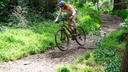 Cadre Ritchey P-29er