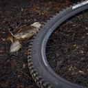 Jante NOTUBES FLOW MK4