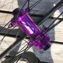 TREGORIDE AR36 | HOPE PRO5 SP24 CL