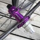 ROUES CARBONE 24 HOOKLESS | HOPE PRO5 SP24 CL | SAPIM | BERD