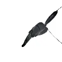 7.webp