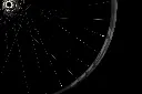 U83A2505copy.webp