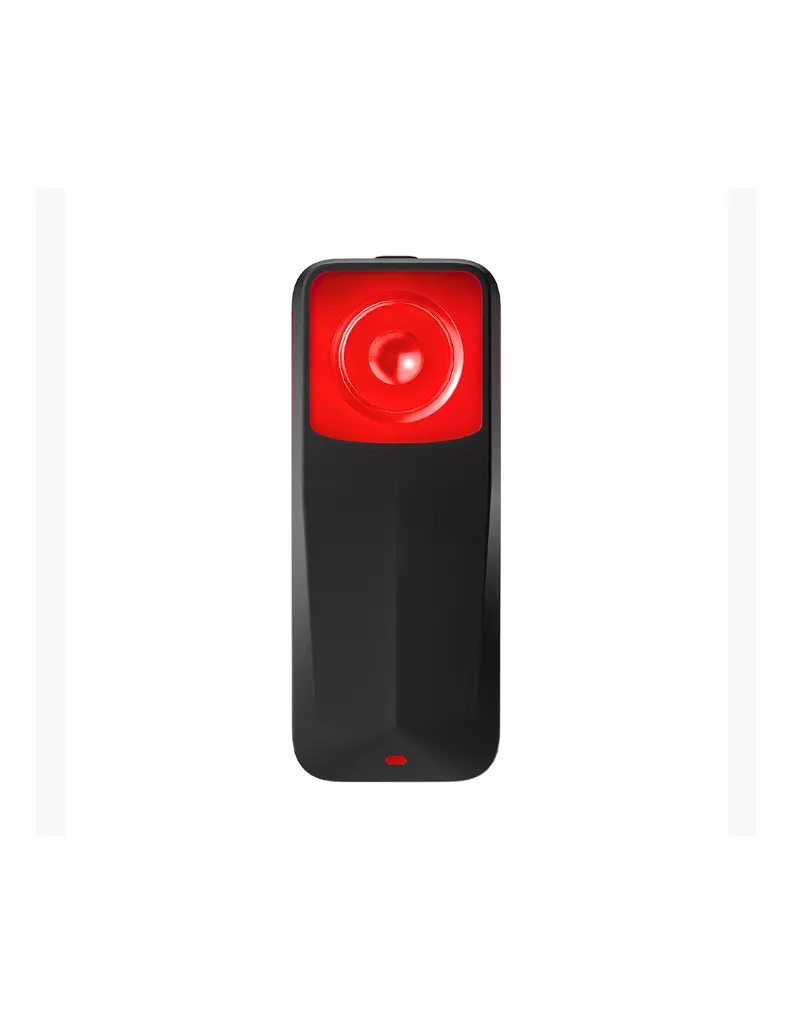ravemen-nt-201-lampe-arriere-radar-toutes-marques-de-gps (2).webp