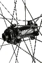 RX40_3.webp