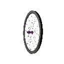 RX40_FRONT_PURPLE_WEB.webp
