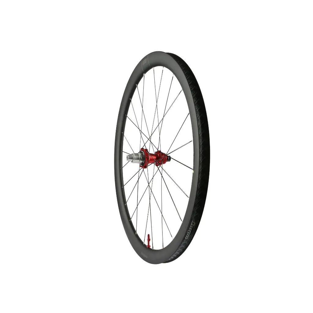 RX40_REAR_RED_WEB.webp