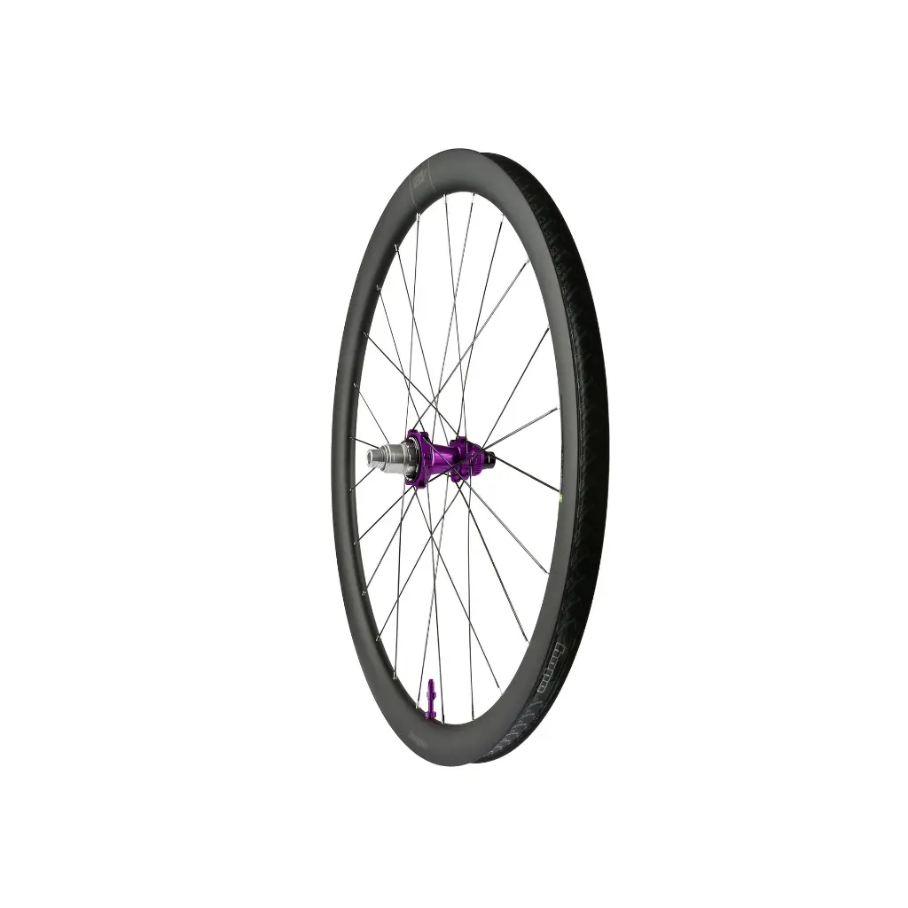 RX40_REAR_PURPLE_WEB.webp