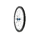 RX40_REAR_BLUE_WEB.webp