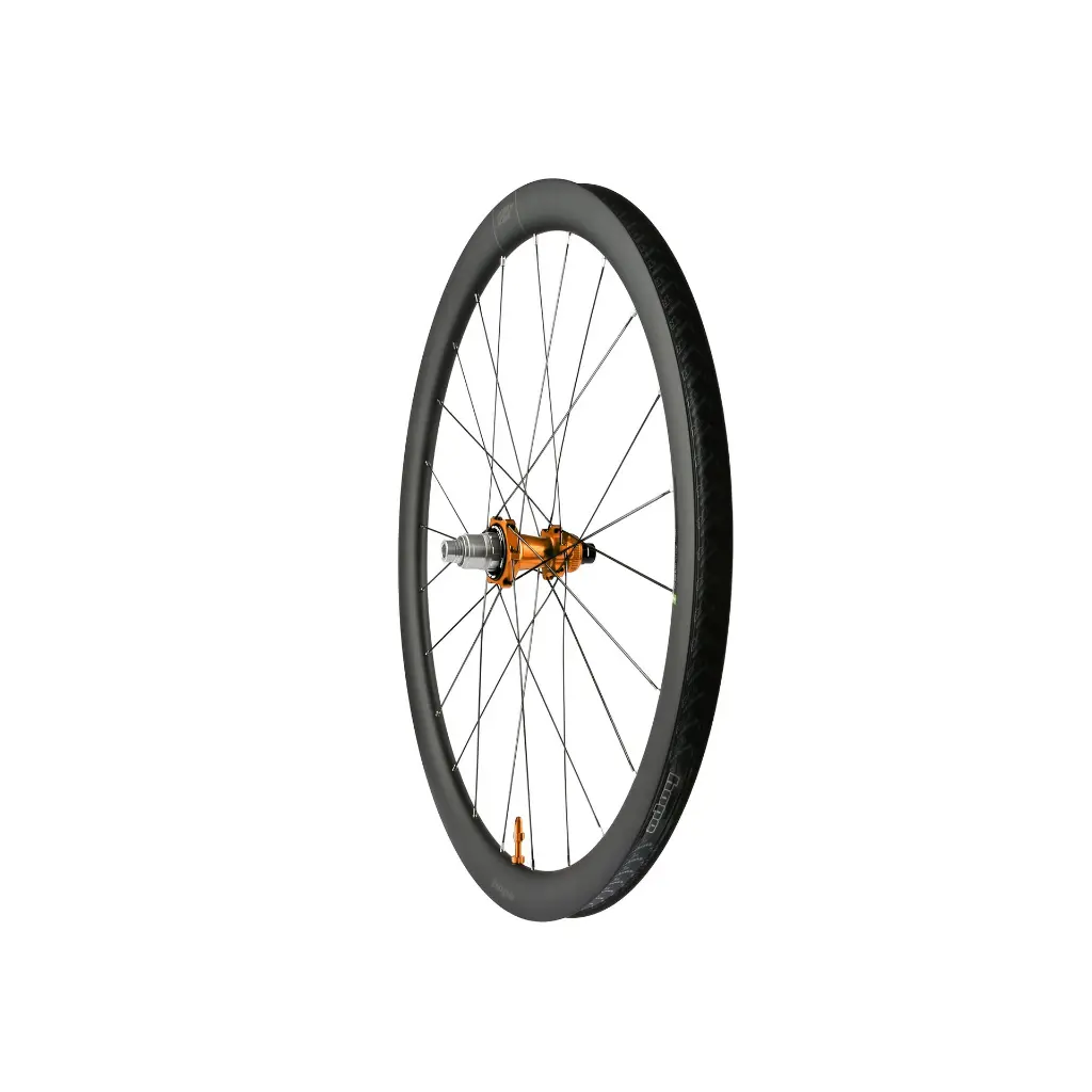 RX40_REAR_ORANGE_WEB.webp