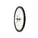 RX40_REAR_ORANGE_WEB.webp
