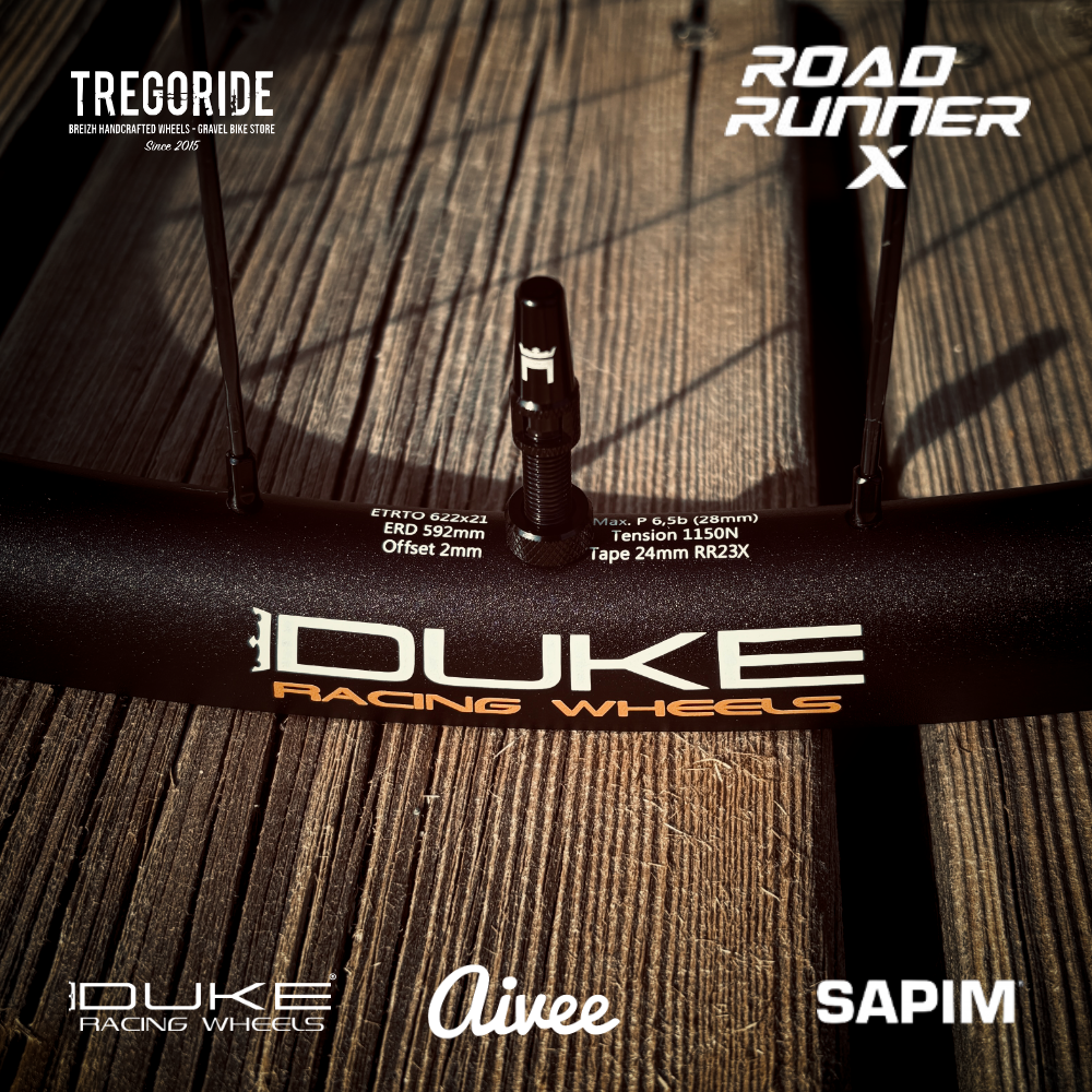 DUKE RR X23 ou X30 DISC | AIVEE EDITION ONE SP
