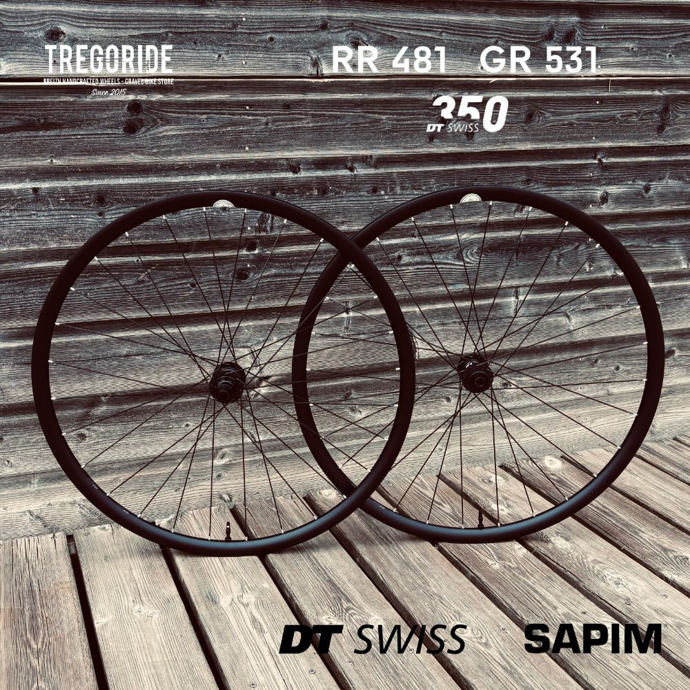 DTSWISS RR481 | DT350