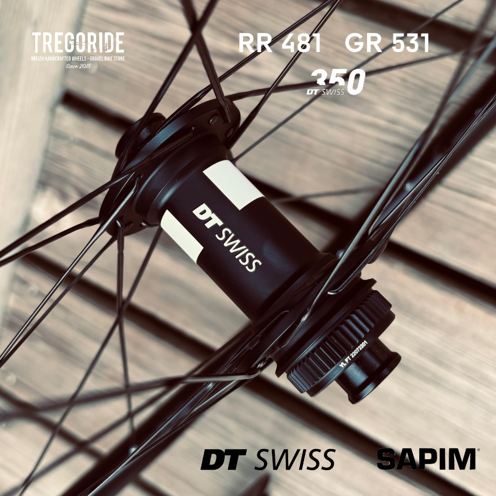 DTSWISS RR481 | DT350