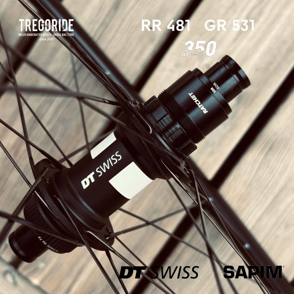 DTSWISS RR481 | DT350