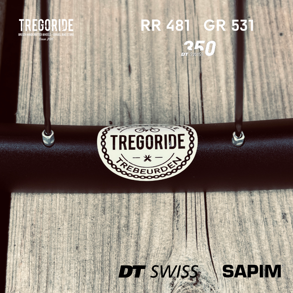 DTSWISS RR481 | DT350