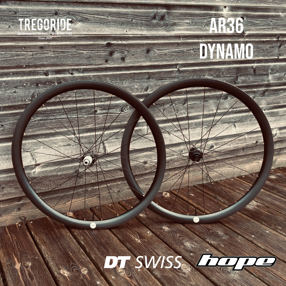 TREGORIDE AR36 | DT350 DYNAMO | PRO5 SP24