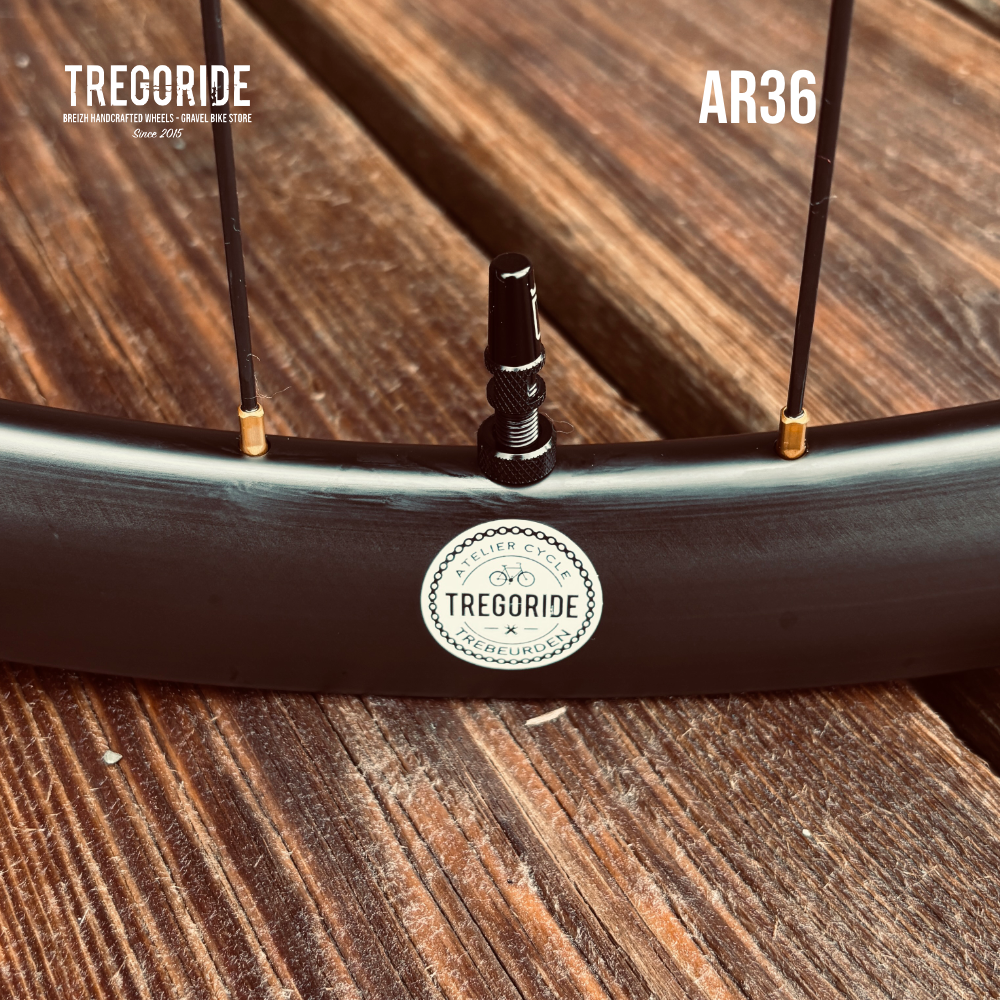 TREGORIDE AR36 | DT350 DYNAMO | PRO5 SP24