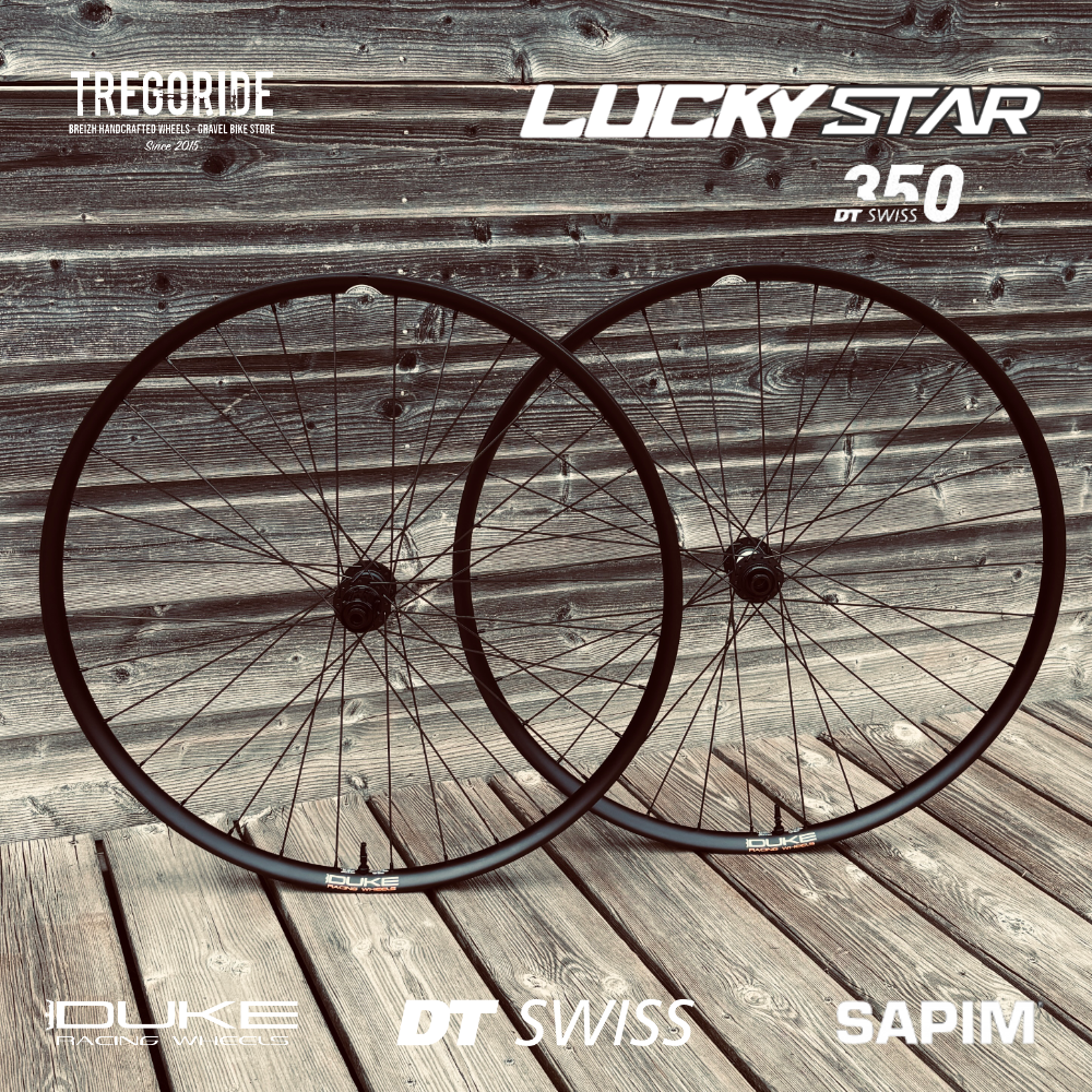 DUKE LUCKY STAR HD 6TERS | DT350 36SL 