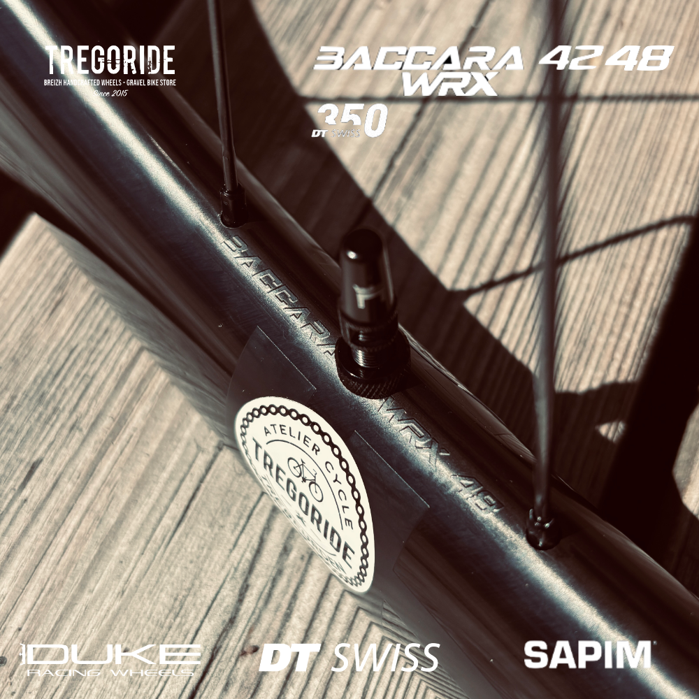 DUKE BACCARA WRX | DT350 SP