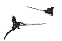 t4x2fnbr.webp