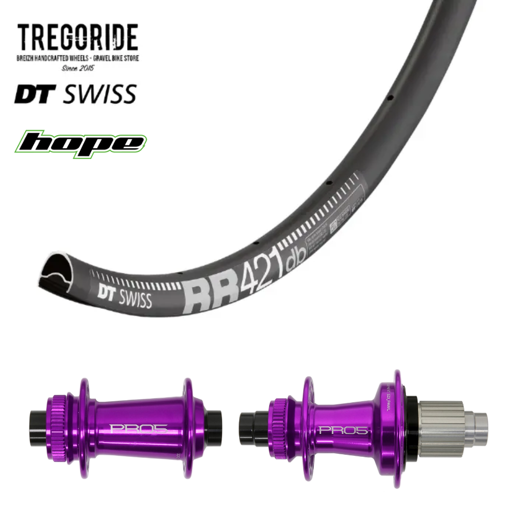 DTSWISS RR421 DB | HOPE PRO5 (Moyeux : Noir, Ecrous : Silver, CRL : HG (9, 10, 11, 12 V, 1er pignon 11 dents))