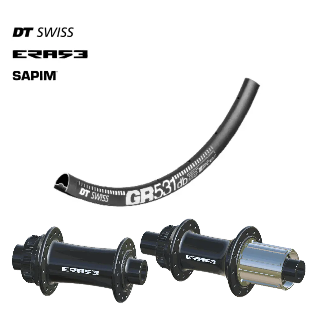 DTSWISS GR531 | ERASE (AV : 28" (700c), AR : 28" (700c), CRL : HG (9, 10, 11, 12 V, 1er pignon 11 dents), Rayons : 28 RACE AV et AR, Ecrous : Silver, Moyeux : Noir)