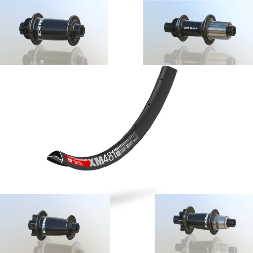 DTSWISS XM481 | ERASE