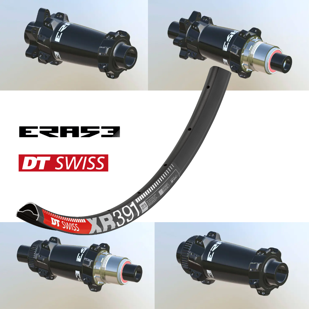DTSWISS XR391 | ERASE SP (15X110 Boost, CRL : HG (9, 10, 11, 12 V, 1er pignon 11 dents), Center Lock (CL), Ecrous : Silver, Moyeux : Noir)