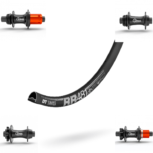 DTSWISS RR481 | AIVEE CLASSIC