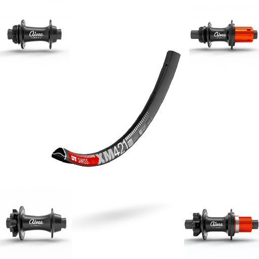 DTSWISS XM421 | AIVEE CLASSIC