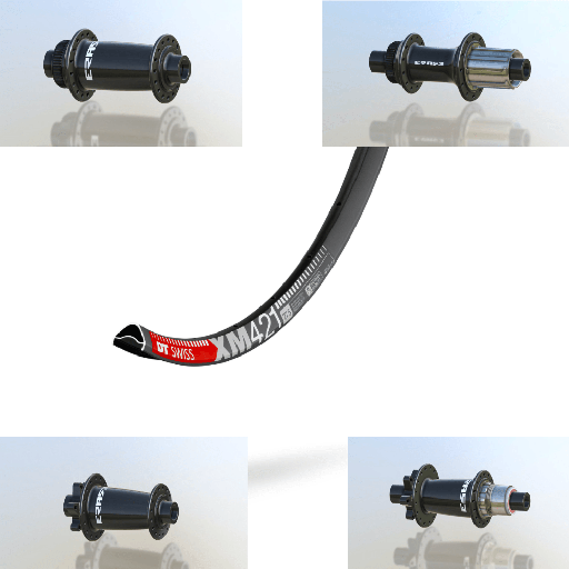 DTSWISS XM421 | ERASE