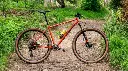 Cadre Ritchey P-29er