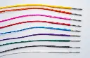 Berd Spoke Coloring Kit