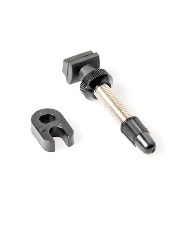 Valves tubeless DTSWISS