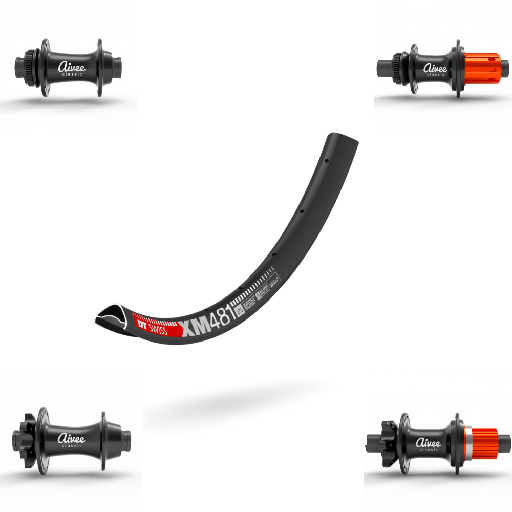 DTSWISS XM481 | AIVEE CLASSIC