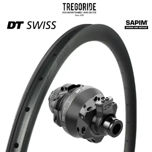 TREGORIDE AR36 | DTSWISS 350 DYNAMO