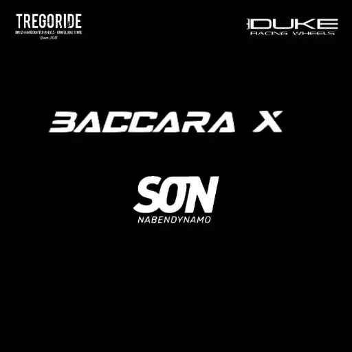 DUKE BACCARA X | SON29S